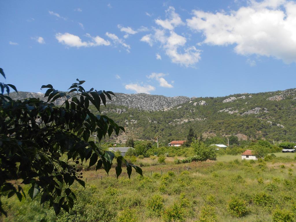 Fire Pansiyon Çıralı Dış mekan fotoğraf